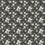 Galerie Anenome Mini Black Wallpaper