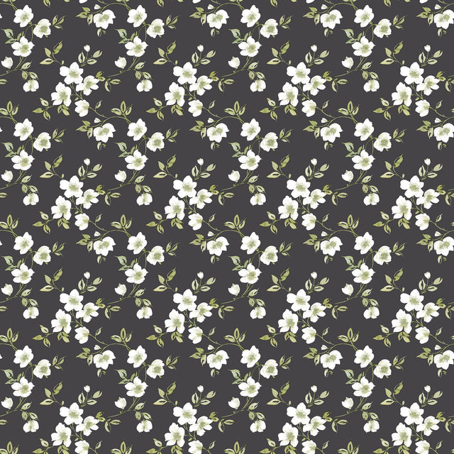 Galerie Anenome Mini Black Wallpaper