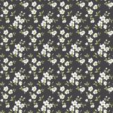 Galerie Anenome Mini Black Wallpaper