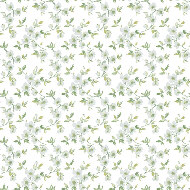 Galerie Anenome Mini Green Wallpaper