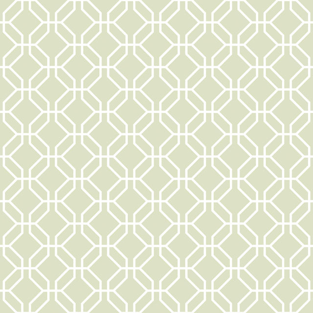 Galerie Trellis Negative Green Wallpaper
