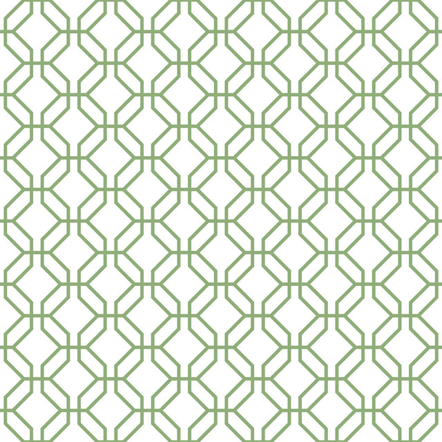 Galerie Trellis Positive Green Wallpaper