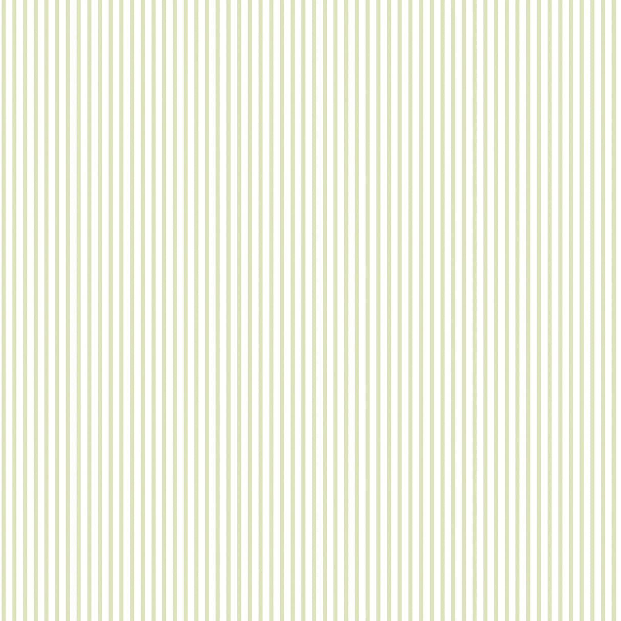 Galerie Candy Stripe Green Wallpaper