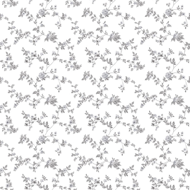 Galerie Delicate Floral Black Wallpaper