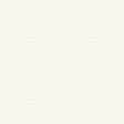 Galerie Shell Top Bronze Brown Wallpaper