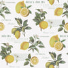 Galerie Citron Botanical Yellow Wallpaper