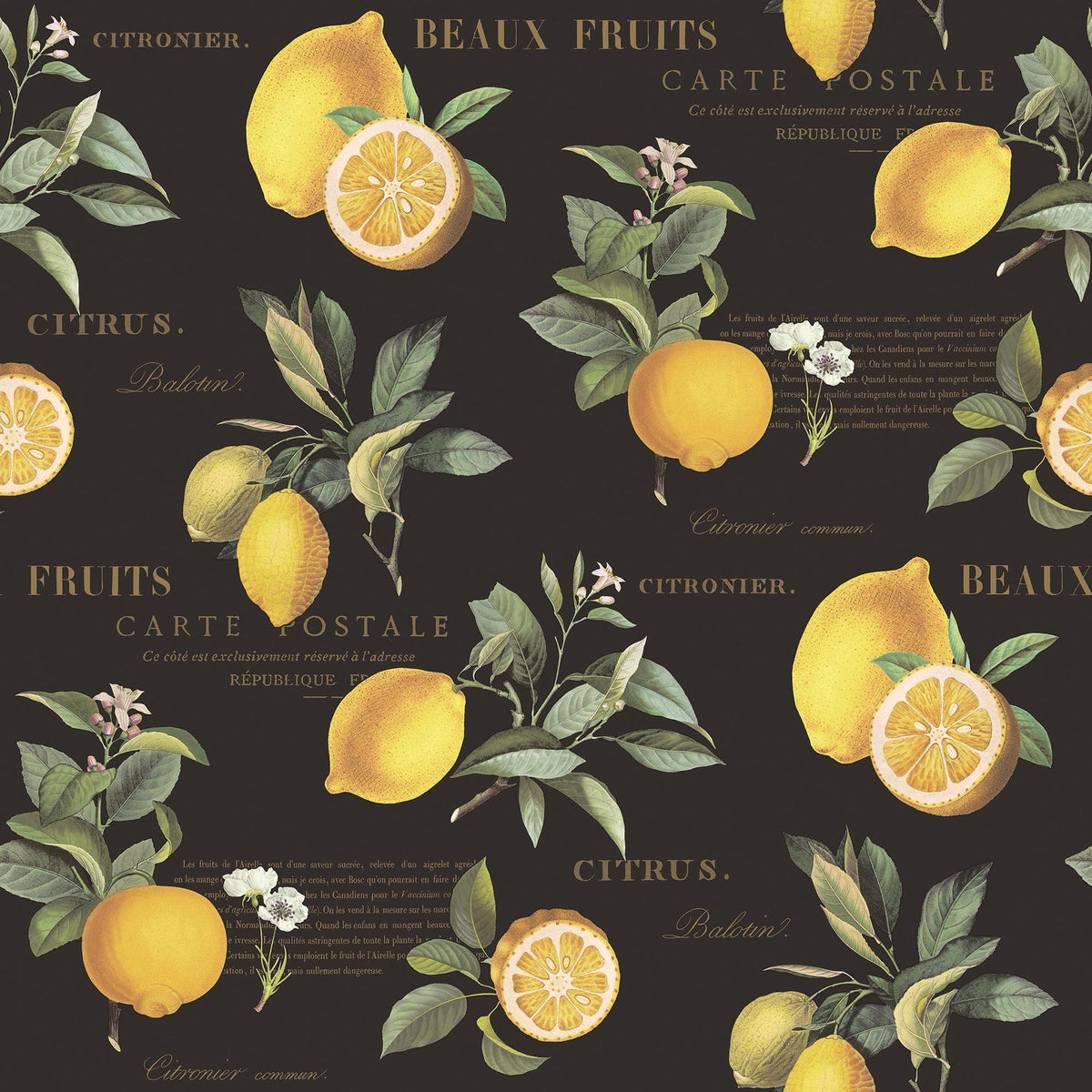 Galerie Citron Botanical Black Wallpaper