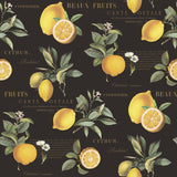 Galerie Citron Botanical Black Wallpaper