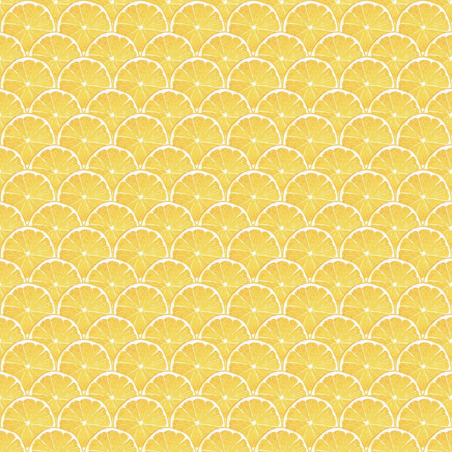 Galerie Lemon Scallop Yellow Wallpaper