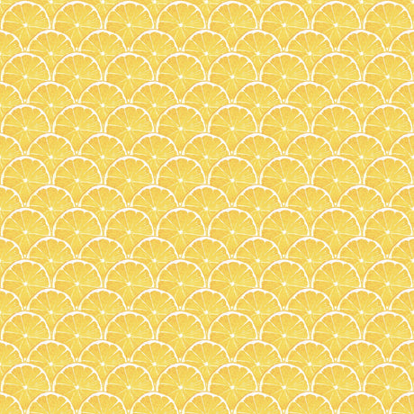 Galerie Lemon Scallop Yellow Wallpaper