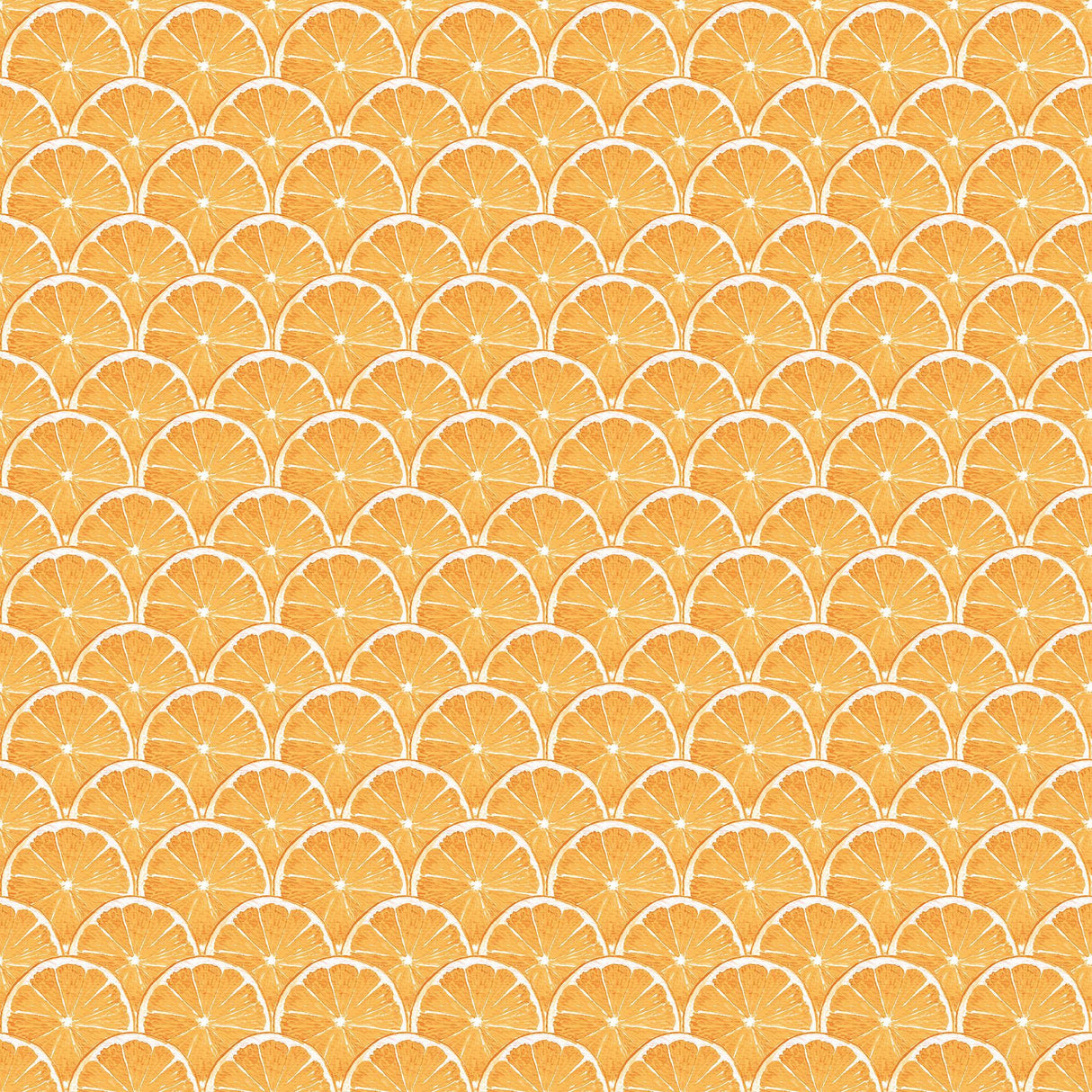 Galerie Orange Scallop Orange Wallpaper