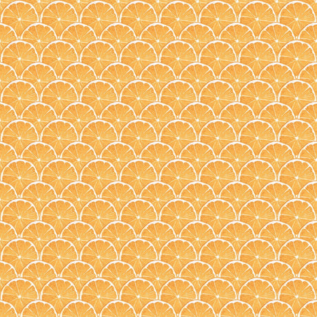 Galerie Orange Scallop Orange Wallpaper
