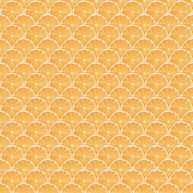 Galerie Orange Scallop Orange Wallpaper