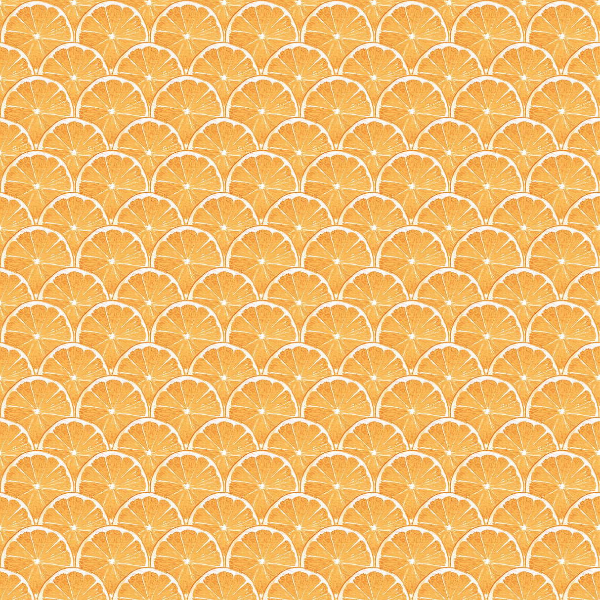 Galerie Orange Scallop Orange Wallpaper