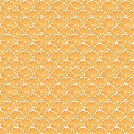 Galerie Orange Scallop Orange Wallpaper