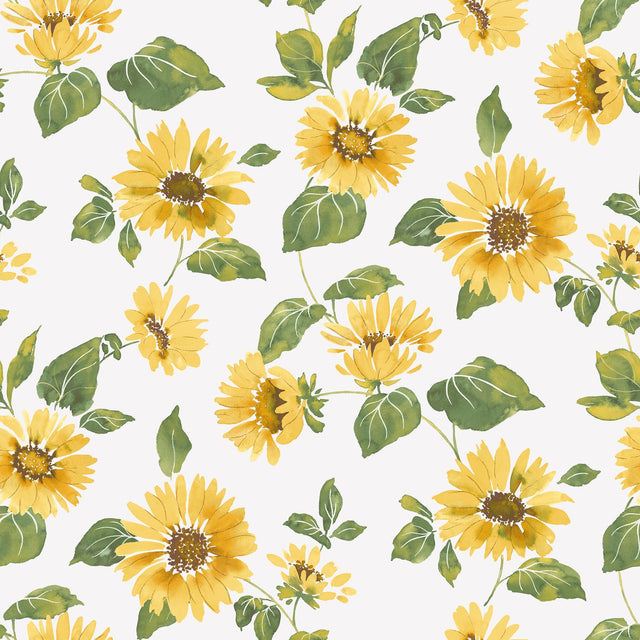 Galerie Sunflower Trail Yellow Wallpaper
