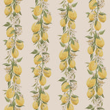 Galerie Lemon Stripe Yellow Wallpaper