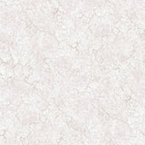 Galerie Bento Pink Wallpaper