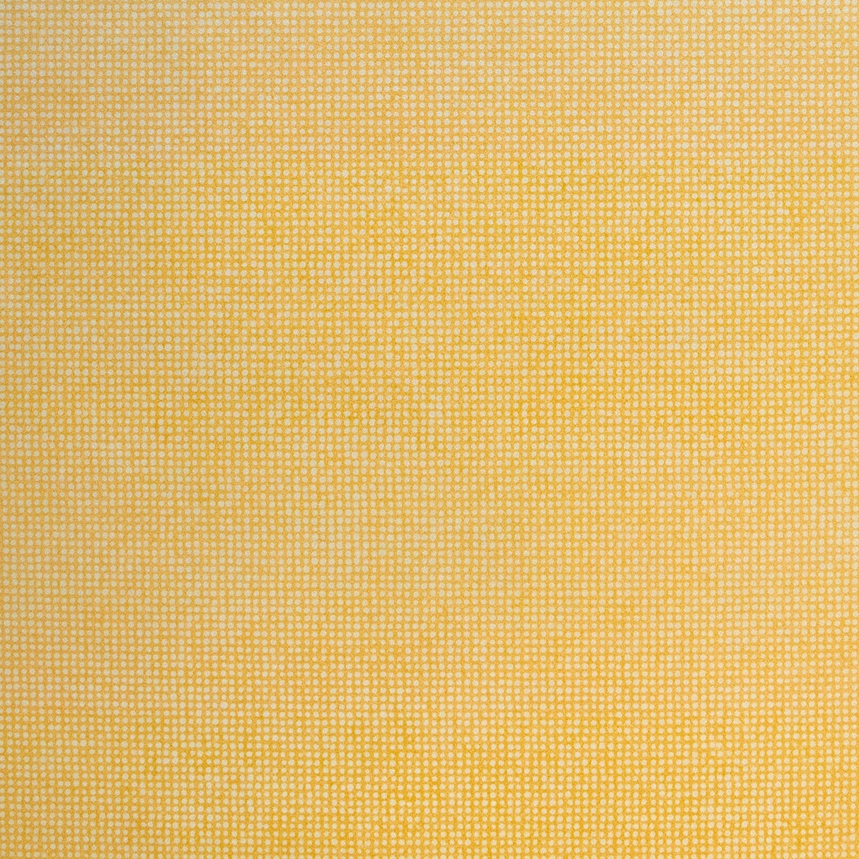 Galerie Mini Dots Yellow Wallpaper