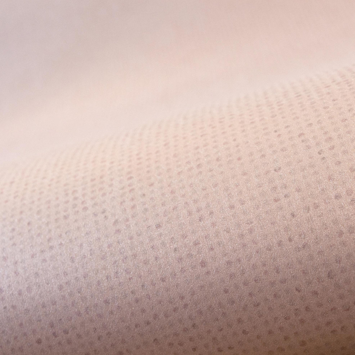 Galerie Mini Dots Pink Wallpaper