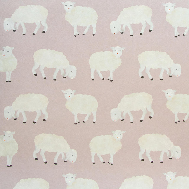 Galerie Sweet Sheep Pink Wallpaper
