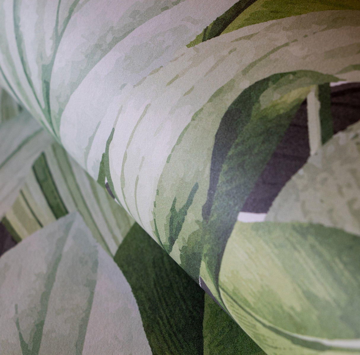 Galerie 18001 Tropical Tropical Forest Green Mural 18001 Green Mural