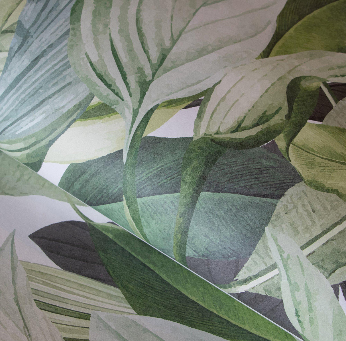 Galerie 18001 Tropical Tropical Forest Green Mural 18001 Green Mural