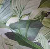 Galerie 18001 Tropical Tropical Forest Green Mural 18001 Green Mural