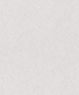 Galerie Branches White Wallpaper