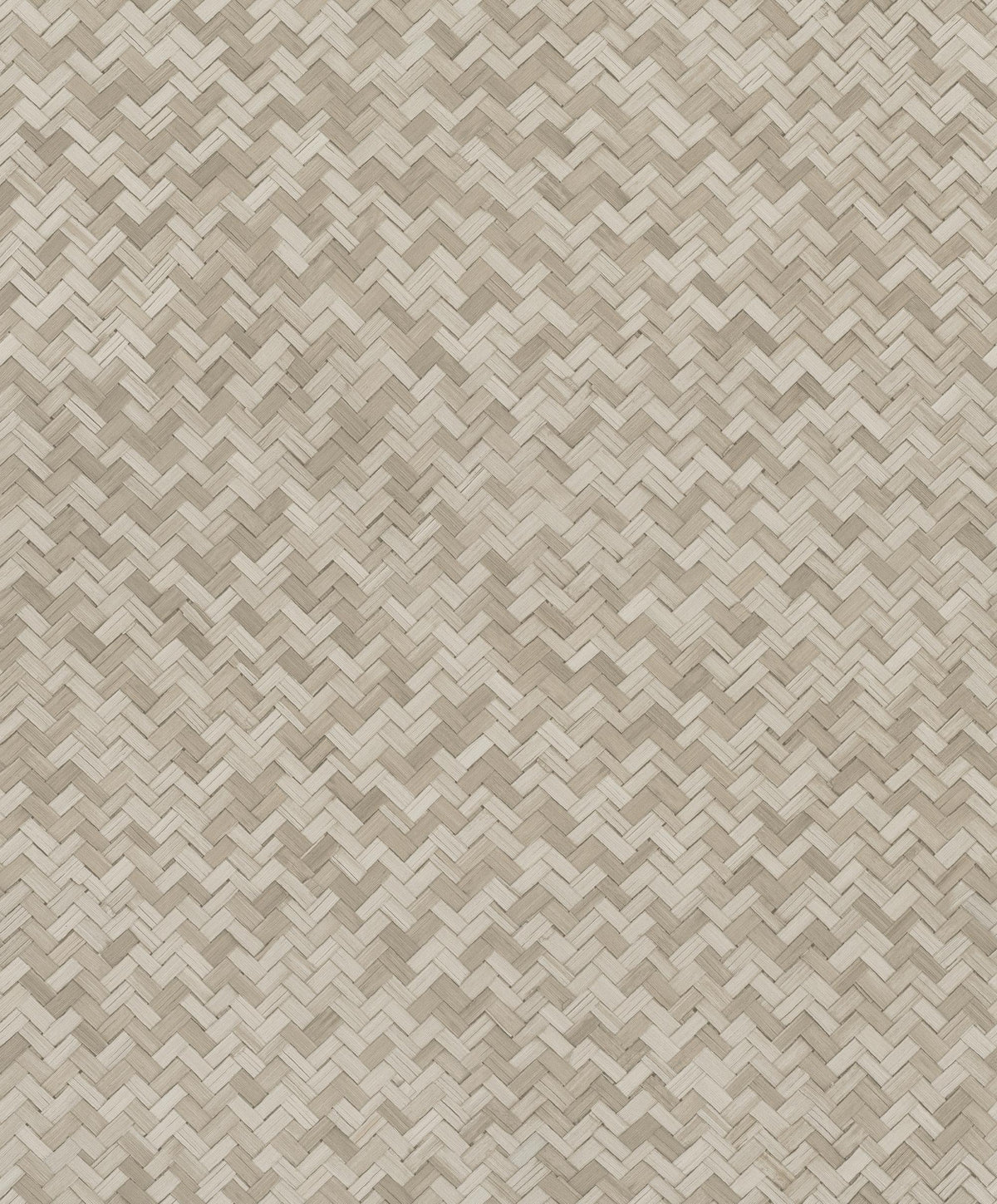Galerie Rattan Beige Wallpaper