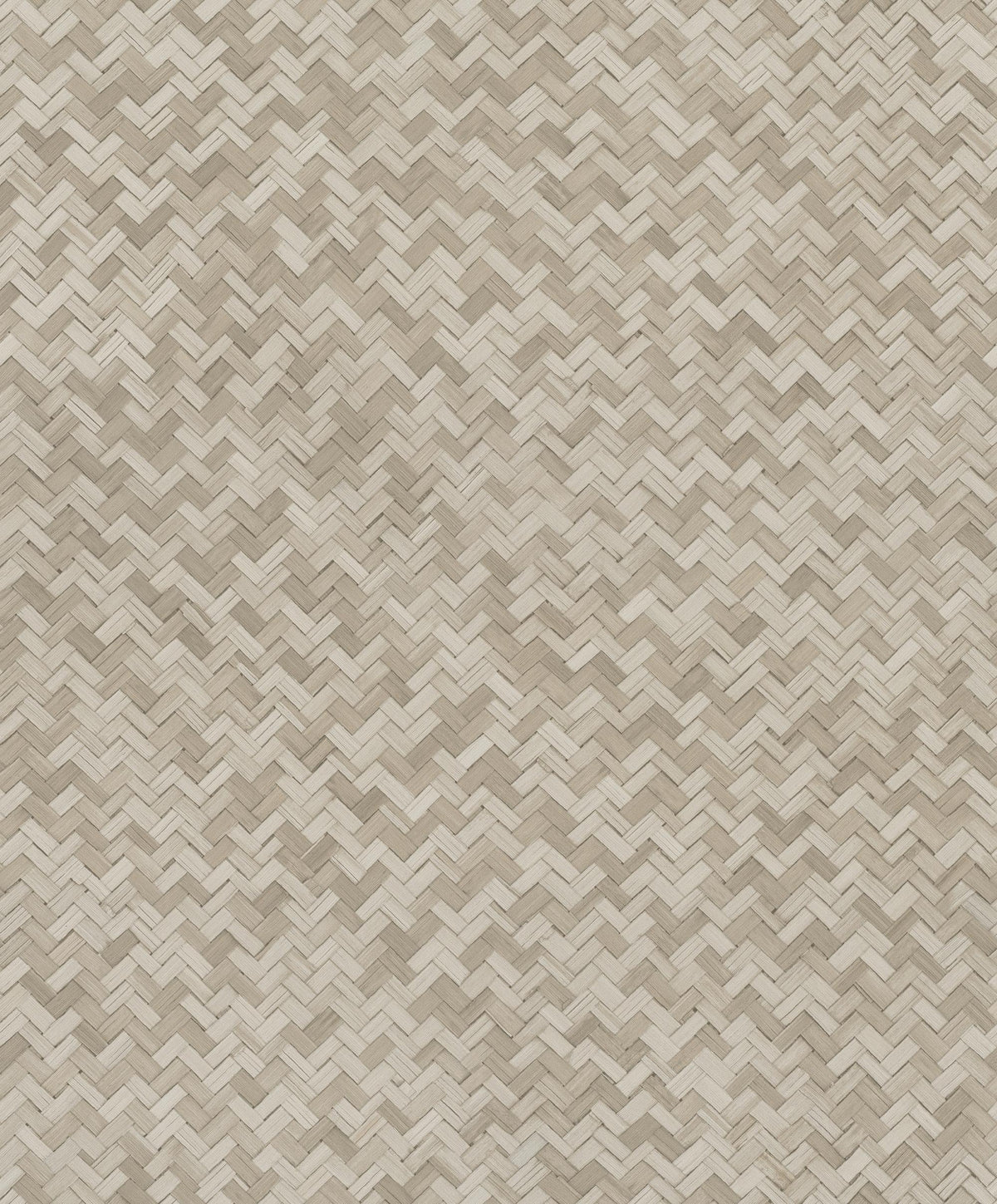 Galerie Rattan Beige Wallpaper