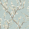 Galerie Sakura Tree Blue Wallpaper