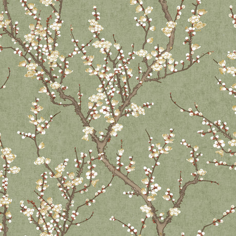 Galerie SAKURA TREE Green Wallpaper