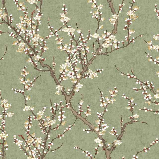 Galerie SAKURA TREE Green Wallpaper