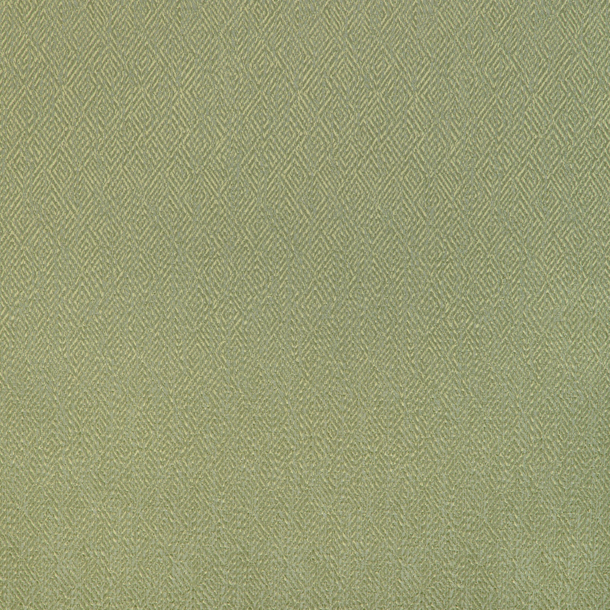 Brunschwig & Fils PIPET TEXTURE LEAF Drapery Fabric