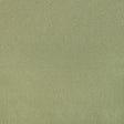 Brunschwig & Fils PIPET TEXTURE LEAF Drapery Fabric