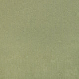 Brunschwig & Fils PIPET TEXTURE LEAF Drapery Fabric