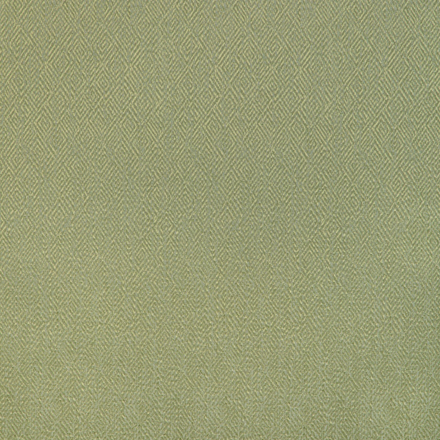 Brunschwig & Fils PIPET TEXTURE LEAF Drapery Fabric