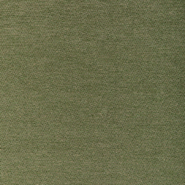 Brunschwig & Fils BEAUVOIR TEXTURE LEAF Upholstery Fabric