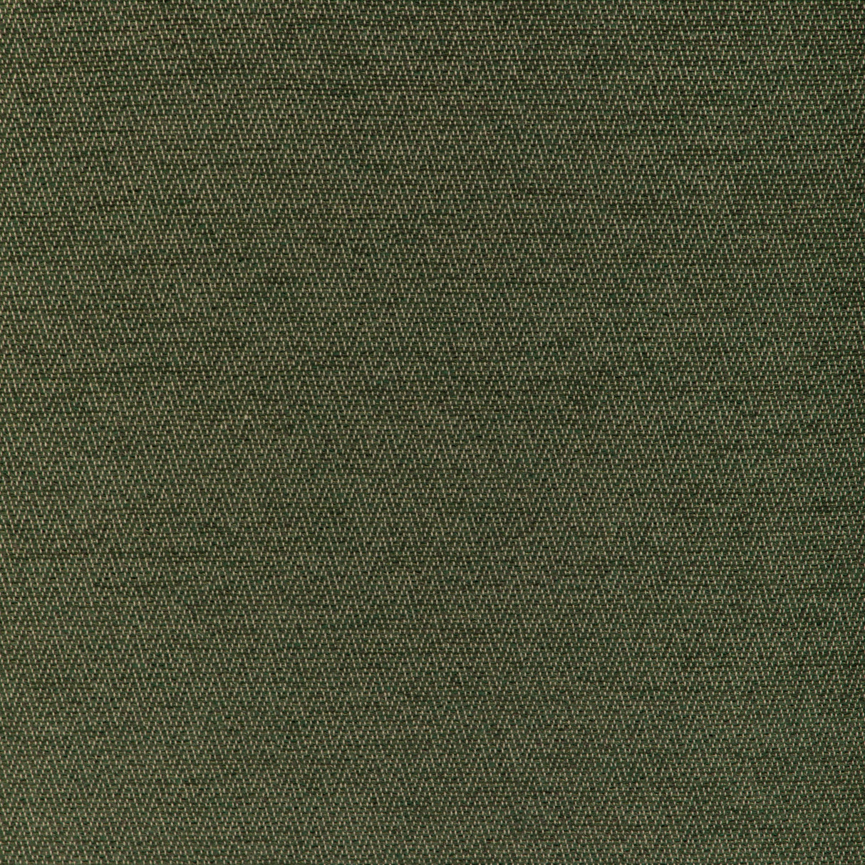 Brunschwig & Fils BEAUVOIR TEXTURE GREEN Upholstery Fabric