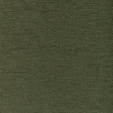 Brunschwig & Fils BEAUVOIR TEXTURE GREEN Upholstery Fabric