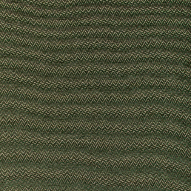 Brunschwig & Fils BEAUVOIR TEXTURE GREEN Upholstery Fabric