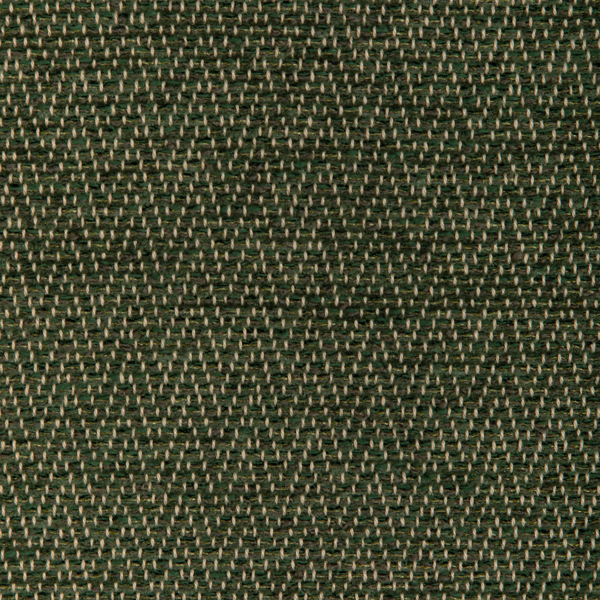 Brunschwig & Fils BEAUVOIR TEXTURE GREEN Upholstery Fabric