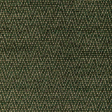 Brunschwig & Fils BEAUVOIR TEXTURE GREEN Upholstery Fabric