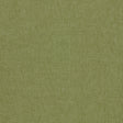 Clarke & Clarke PARADISO PALM Upholstery Fabric