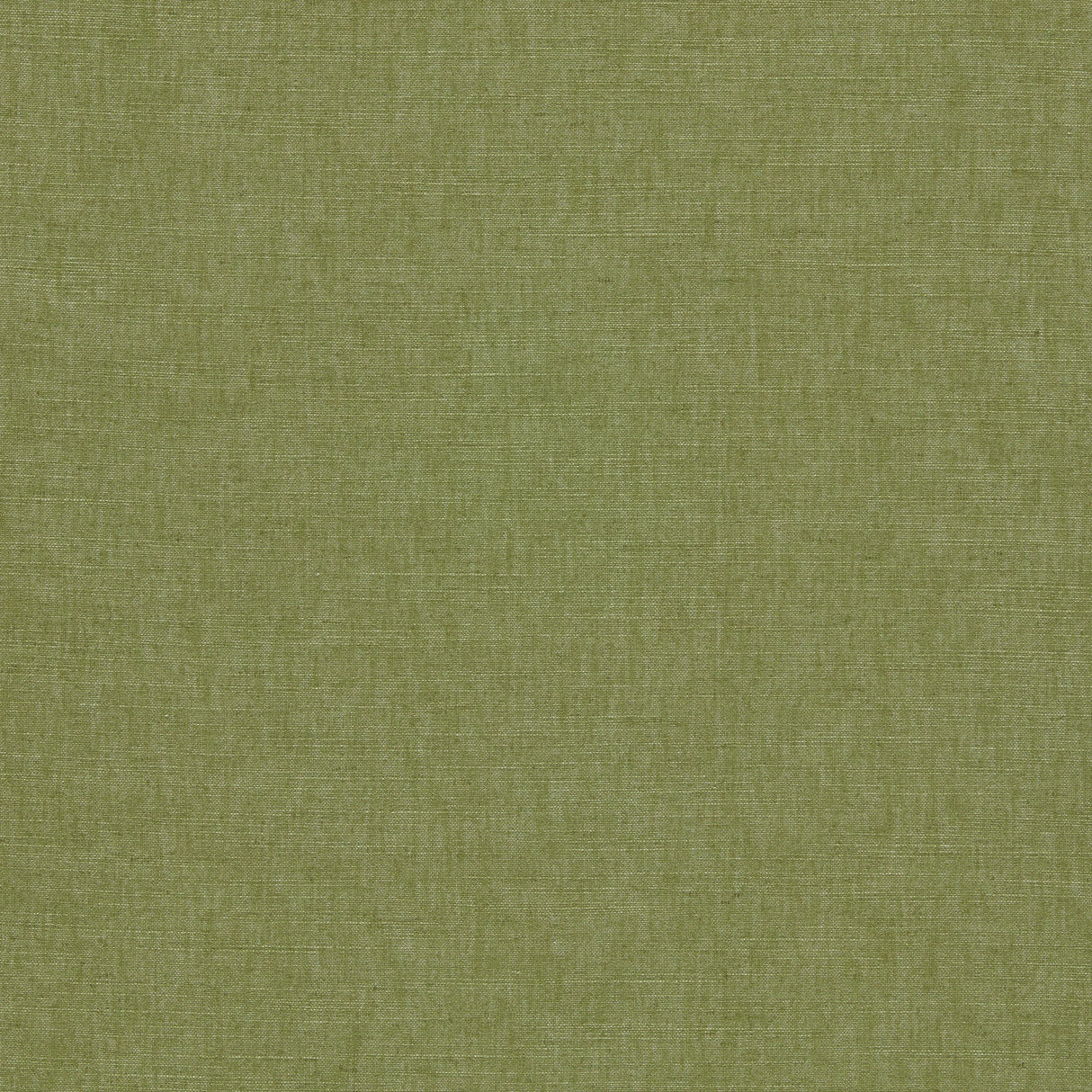 Clarke & Clarke PARADISO PALM Upholstery Fabric