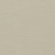 Clarke & Clarke PARADISO PEBBLE Upholstery Fabric