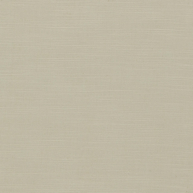 Clarke & Clarke PARADISO PEBBLE Upholstery Fabric