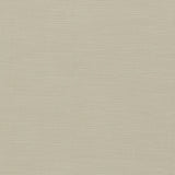 Clarke & Clarke PARADISO PEBBLE Upholstery Fabric