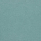 Clarke & Clarke PARADISO SEAGLASS Upholstery Fabric